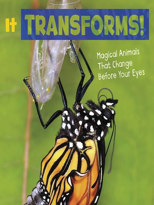 cover image of It Transforms!